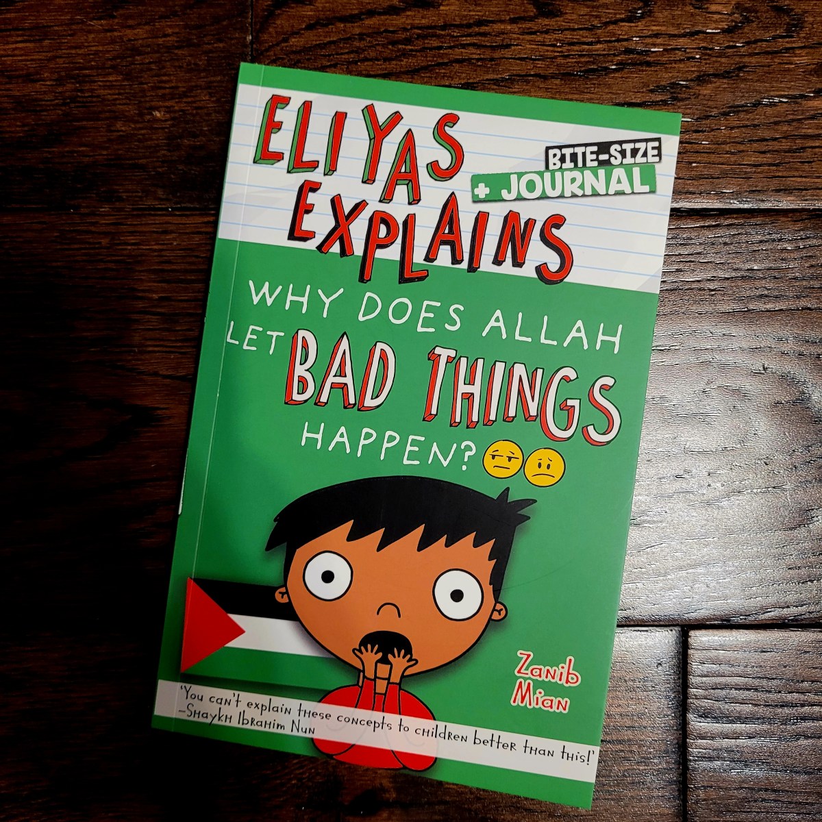 Eliyas Explains Why Does Allah Let Bad Things Happen? by Zanib&nbsp;Mian