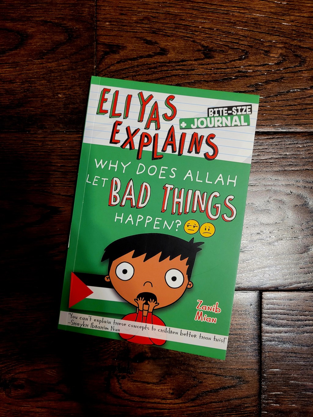 Eliyas Explains Why Does Allah Let Bad Things Happen? by Zanib&nbsp;Mian