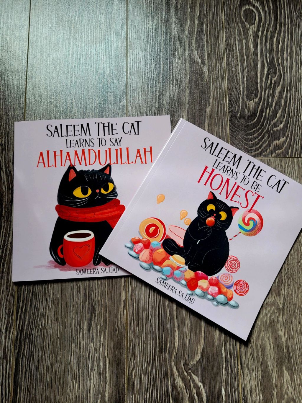 Saleem the Cat by Sameera&nbsp;Sajjad